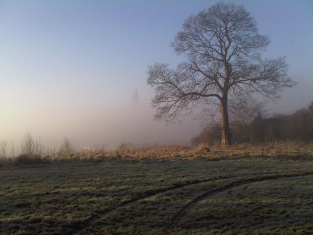 Frosty afternoon - Armagh Observatory - December 2010