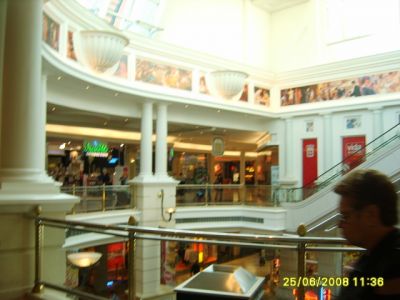 Random Collection Photos