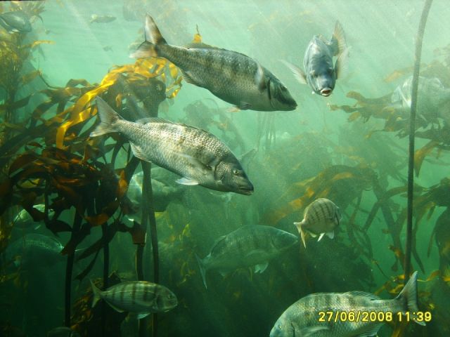 Cape Town, South Africa