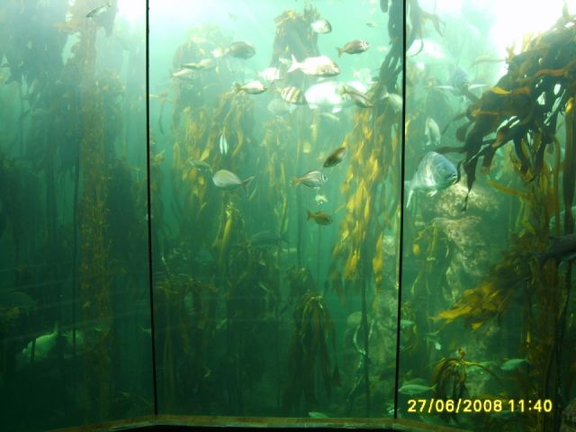 Cape Town, South Africa