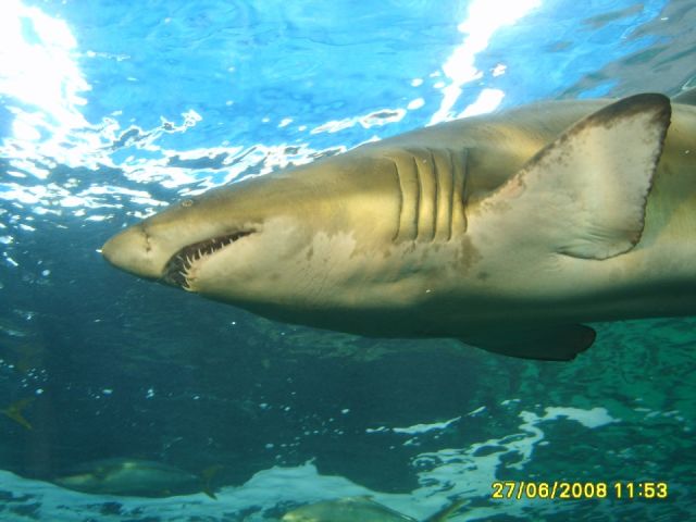 Cape Town, South Africa