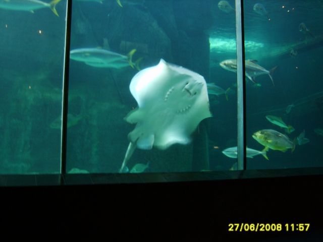 Cape Town, South Africa