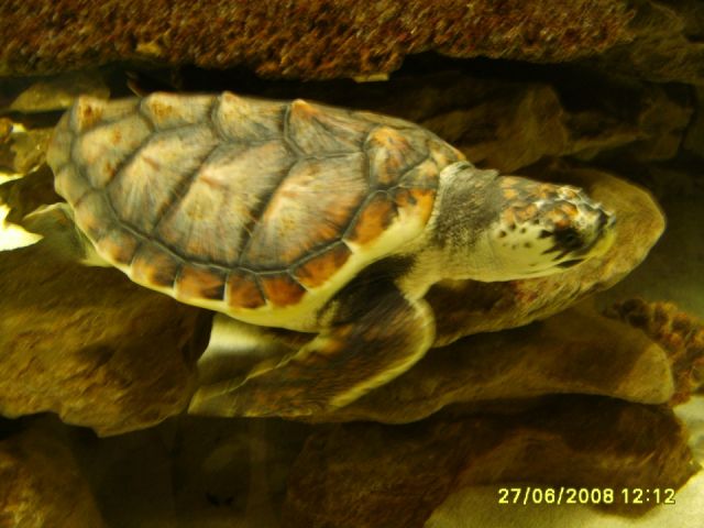 Cape Town, South Africa