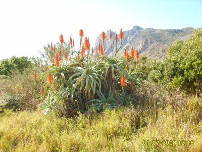 Random Collection Photos