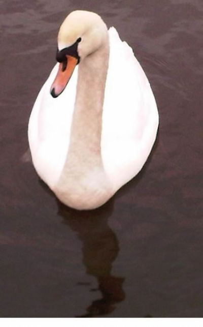 Random Collection Photos